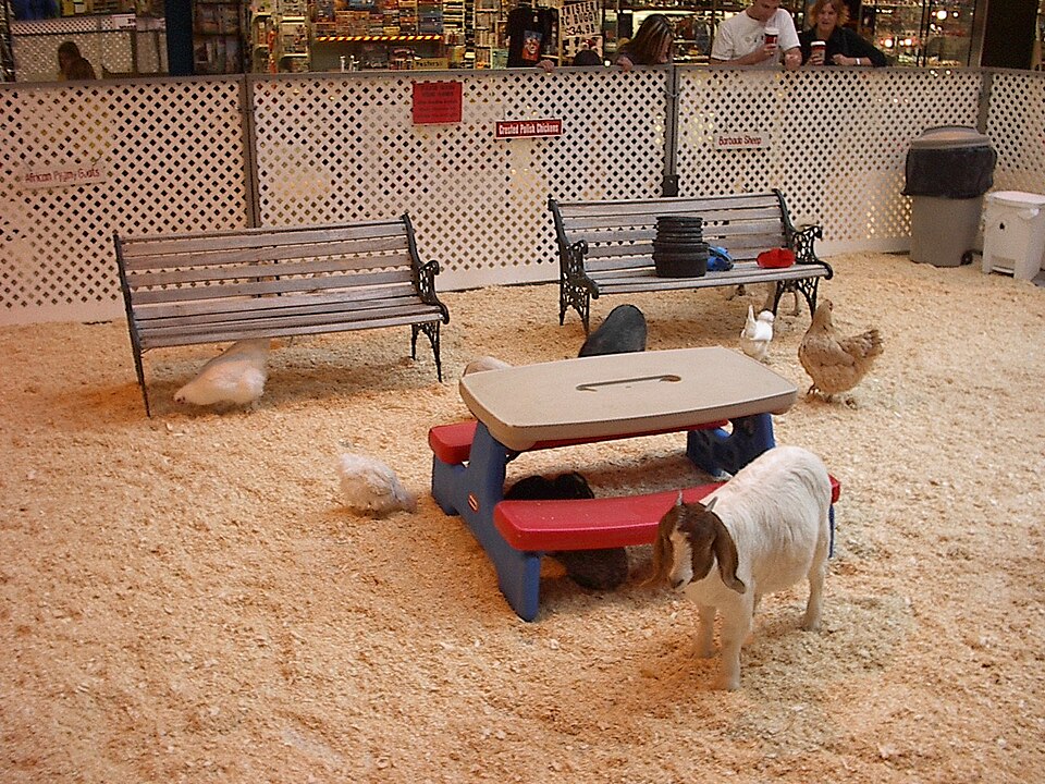 kinderboerderij “De Knotwilg”