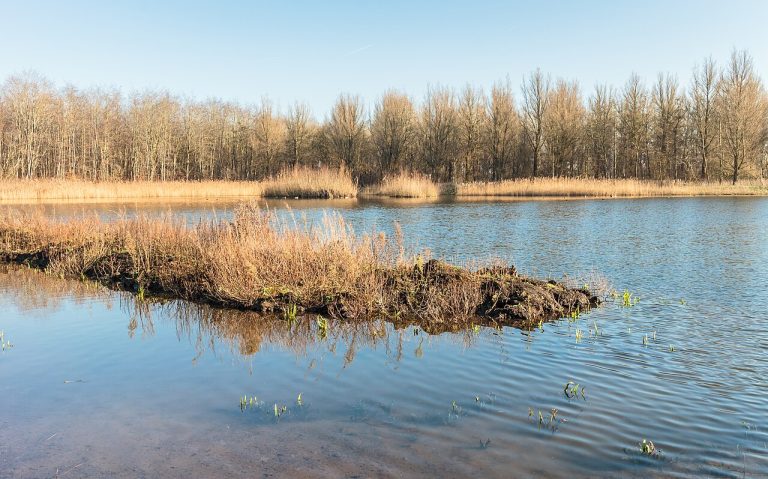 Openluchtfilm in Flevoland — Film in Flevoland