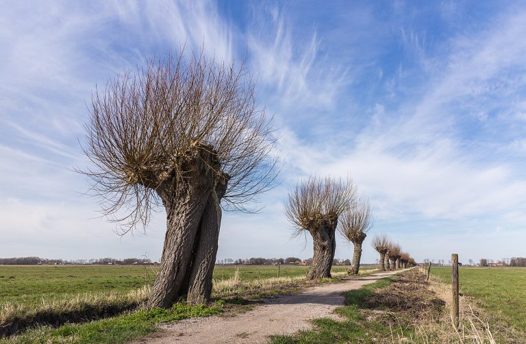 Dagje Werelderfgoed Schokland — Attracties in Flevoland