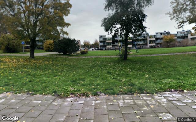 Speeltuin Dwangmolenstraat