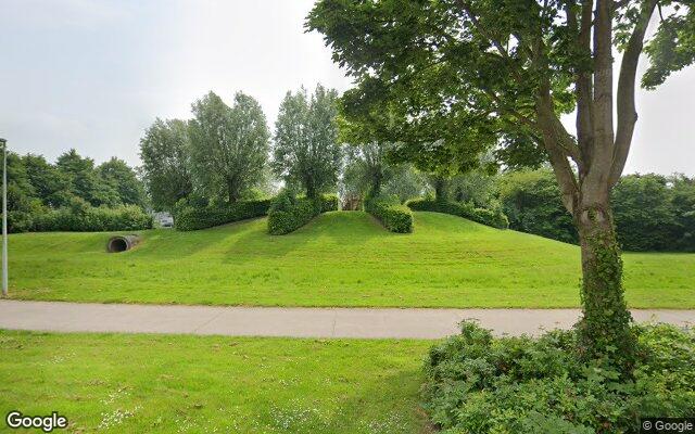 de Bult