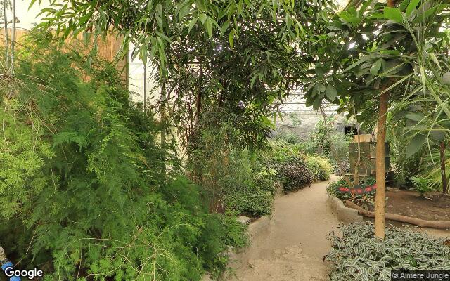 Almere Jungle