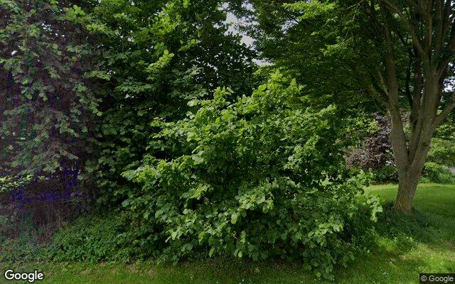 Speeltuin Rozengaard 10