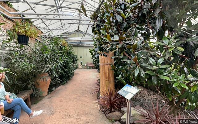 Pantropica