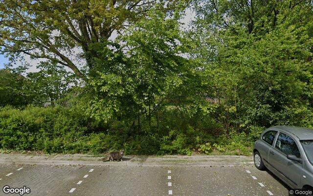 Speeltuin Gondel 14