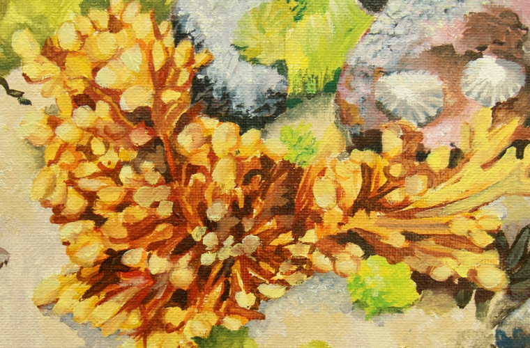 Expositie: Waar de zee het land kust