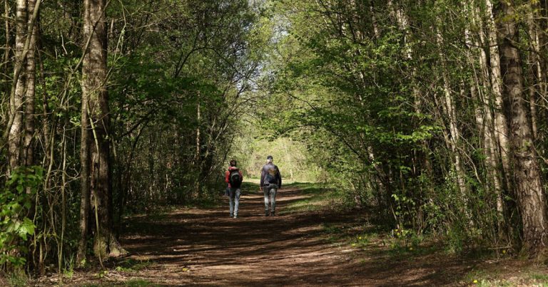 Kuieren met IVN — Natuur in Flevoland