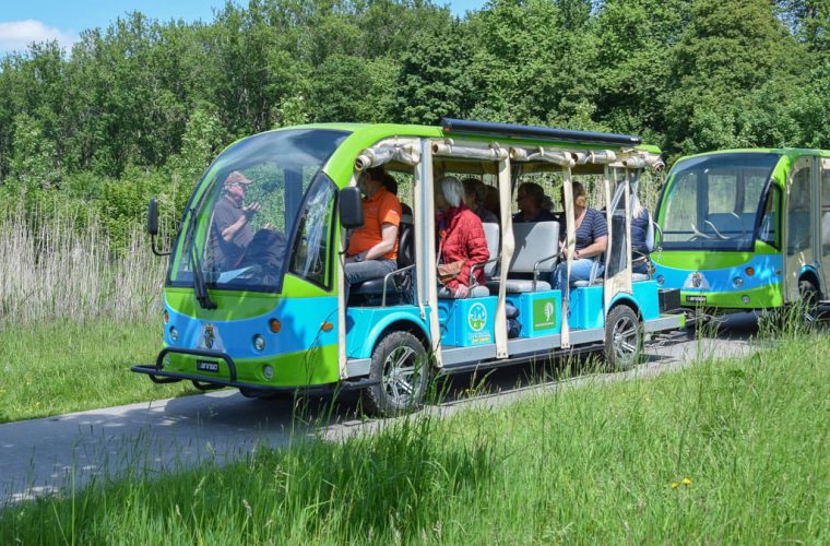 Met de ecokar door het Horsterwold