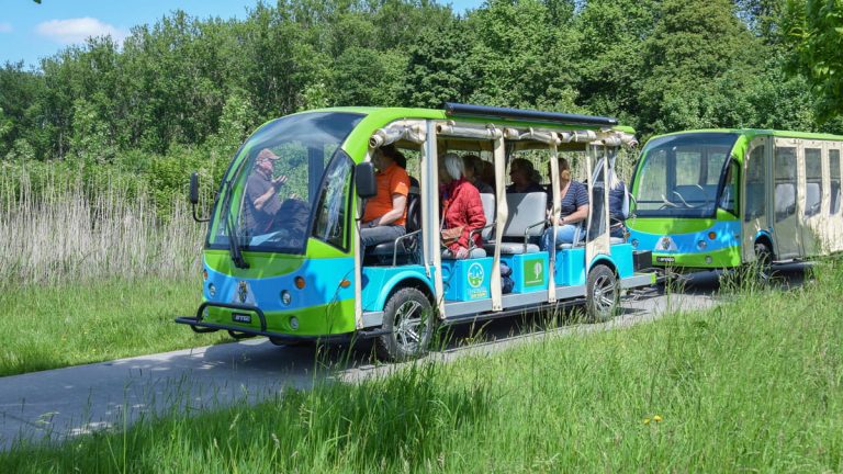 Met de ecokar door het Horsterwold — Natuur in Flevoland
