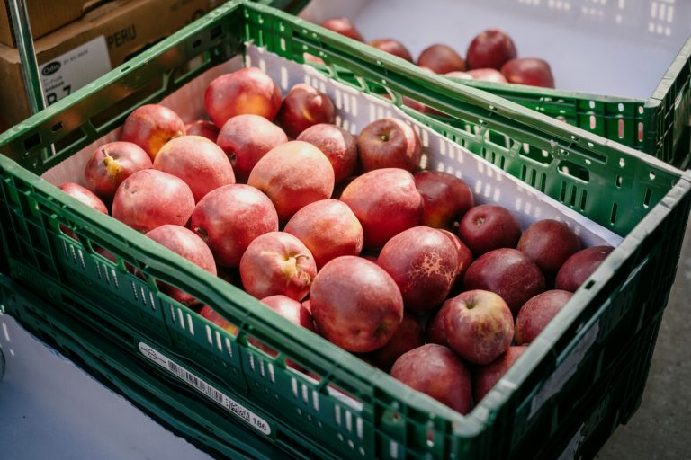 Markt Almere Buiten — markt-eten in Flevoland