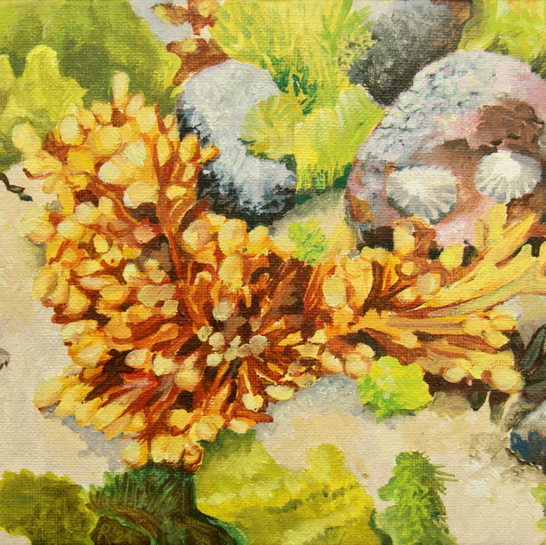 Expositie: Waar de zee het land kust — museum-expo in Flevoland