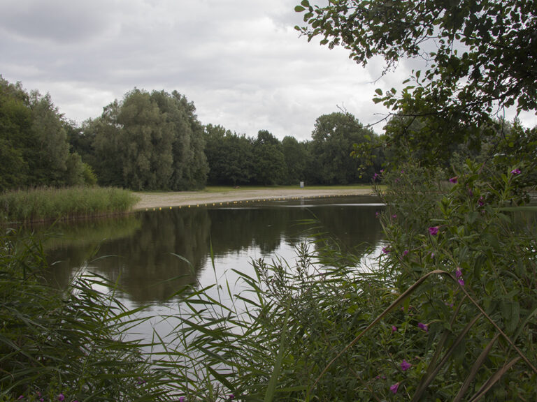 IVN gaat op ontdekkingstocht rond de Spijkvijver — Natuur in Flevoland