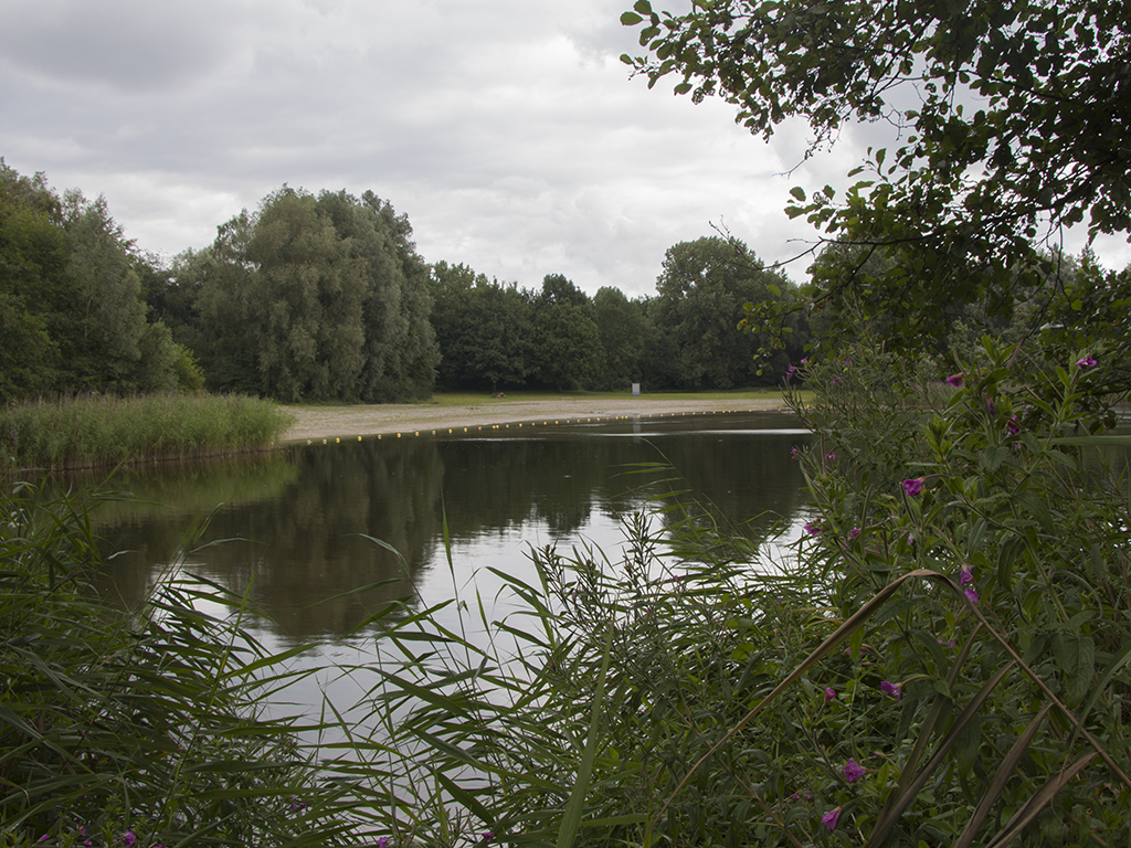 IVN gaat op ontdekkingstocht rond de Spijkvijver in Flevoland
