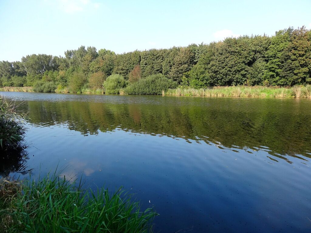 Uittip van de week: Libelle Zomerweek