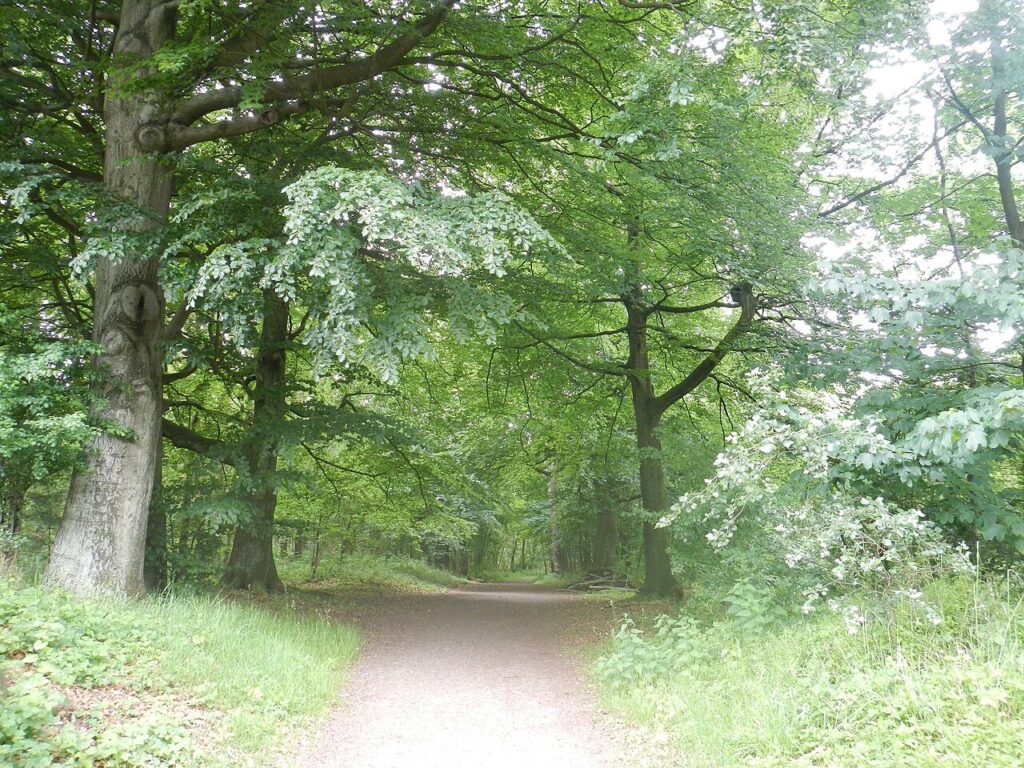 Fotografie: Natuur in Detail bij de Oostvaarders in Flevoland