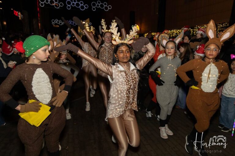 Lichtjesparade Lelystad 2026 — festival in Flevoland
